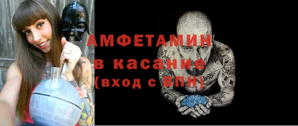 прущие грибы Верея