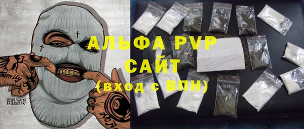 прущие грибы Верея
