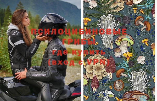 меф Бородино