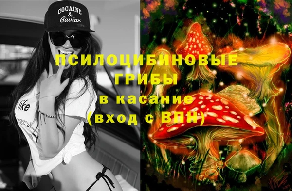 прущие грибы Верея
