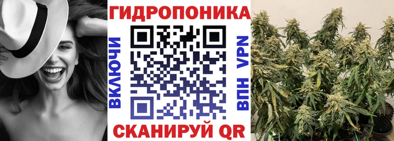 Бошки Шишки тримм  сайты даркнета какой сайт  Льгов  купить закладку 